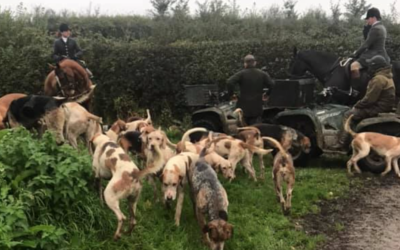 The Hunting Act – is it working? Or not?