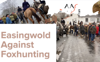 The Mayor of Easingwold and the Boxing Day Meet Fiasco