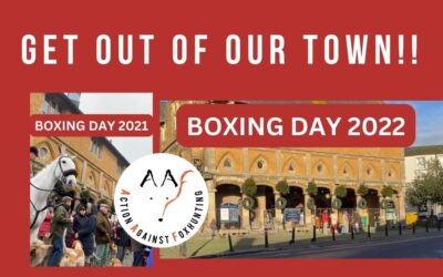 Boxing Day and New Year’s Day Meets, 2022/23-Round Up.