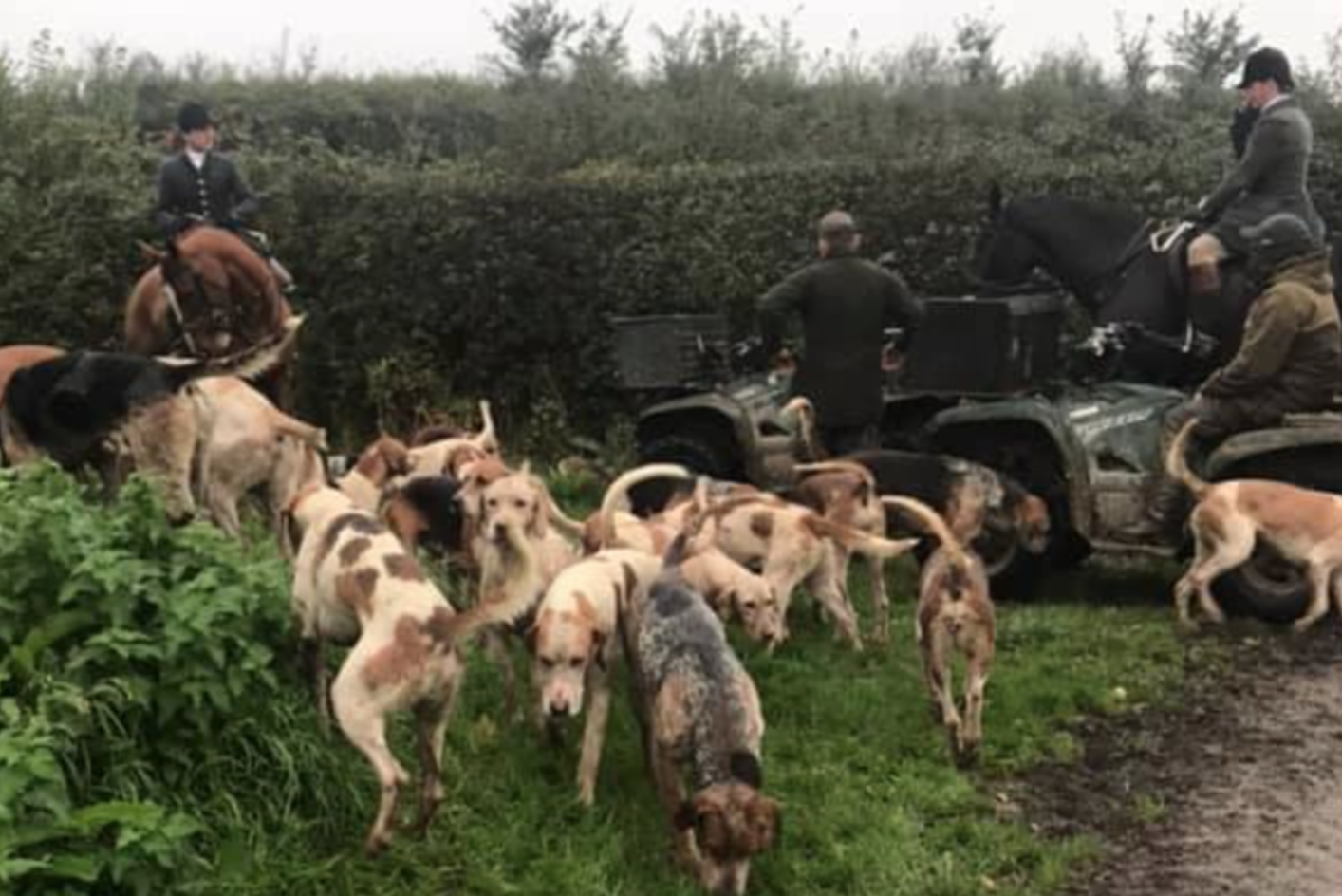 Hounds, huntsman and terriermen