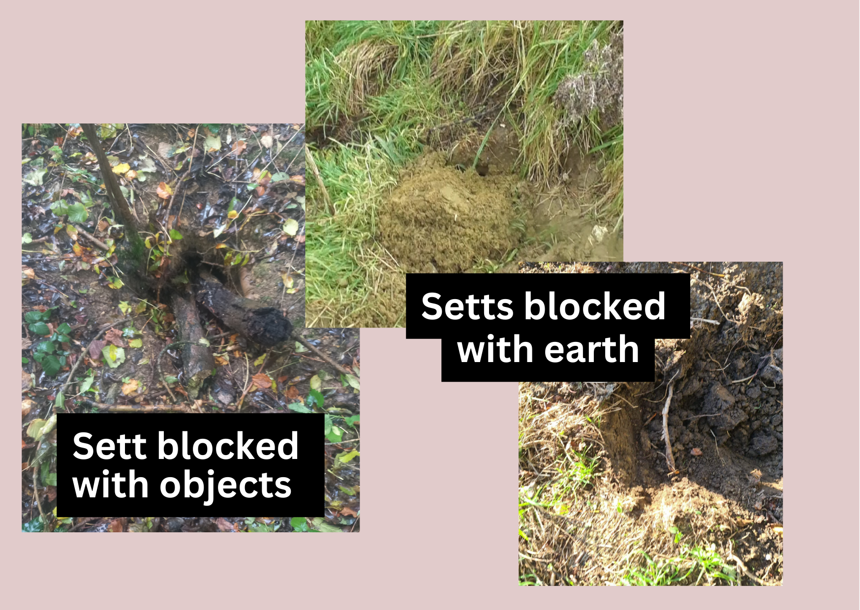 Sett blocked with objects -