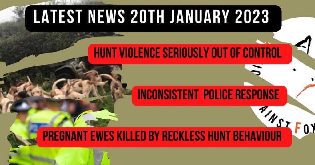 latest news-4