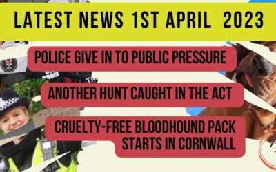 Latest News 1st April 2023