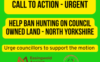 Ban hunting on council owned land – North Yorkshire