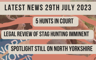 Latest News 29th July 2023