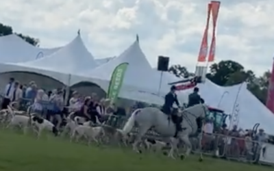 Gillingham&Shaftesbury Show 2023 Campaign