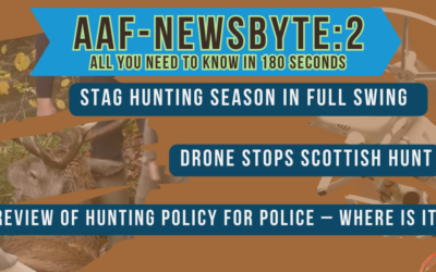 AAFNEWSBYTE-2