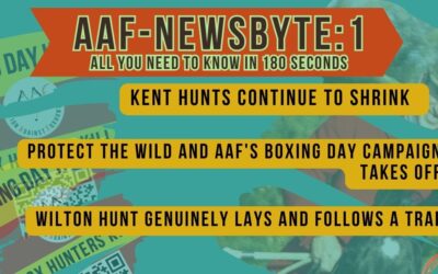 AAF-NewsByte – 1 – all you need to know in 180 seconds
