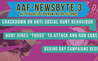 AAF Newsbyte – 3