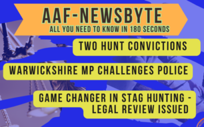 AAF NEWSBYTE 4