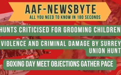 AAF NewsByte 5