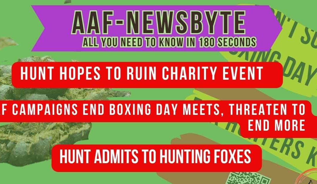 AAF Newsbyte – 8