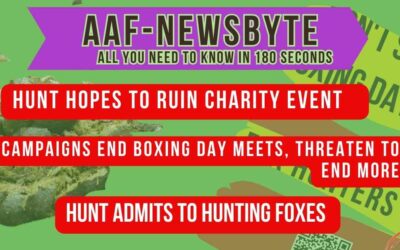 AAF Newsbyte – 8