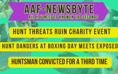 AAF Newsbyte 9