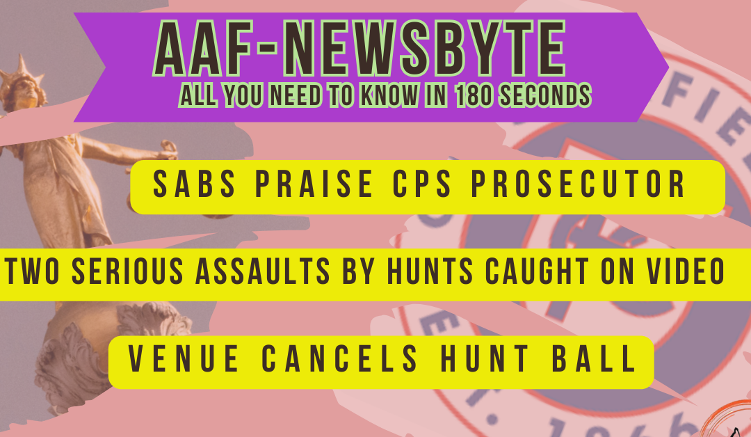 AAF Newsbyte 10