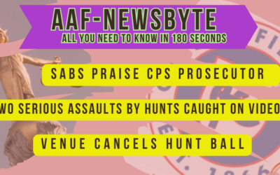 AAF Newsbyte 10
