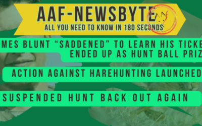 AAF Newsbyte 12