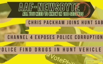 AAF Newsbyte 14