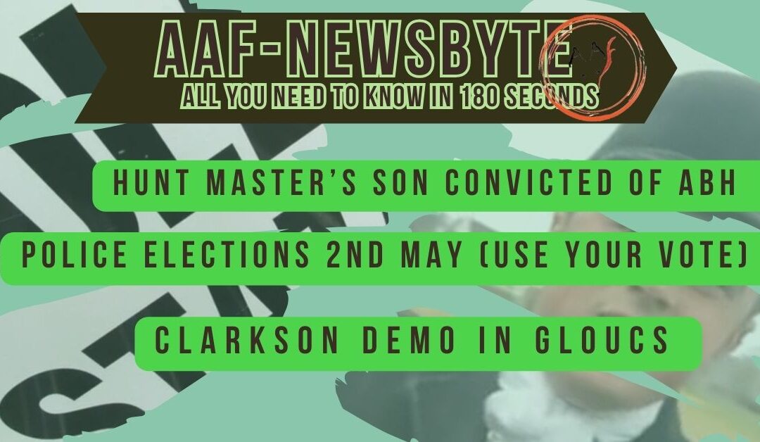 AAF Newsbyte 16