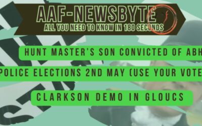 AAF Newsbyte 16