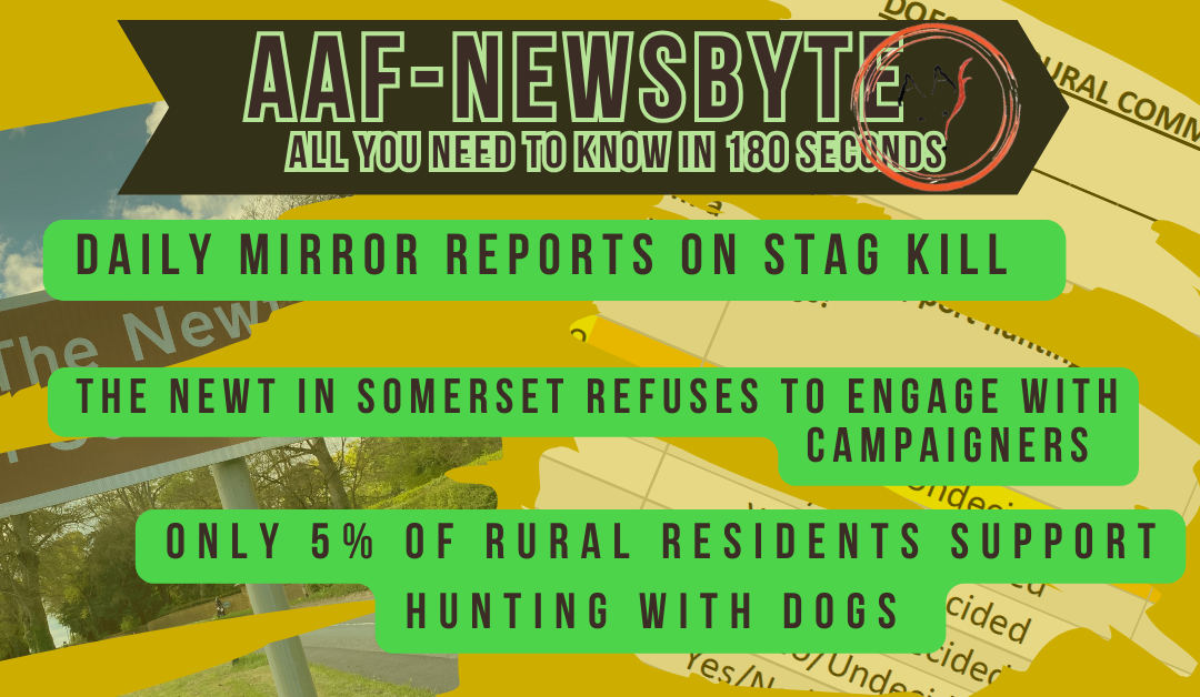 AAF Newsbyte – 18