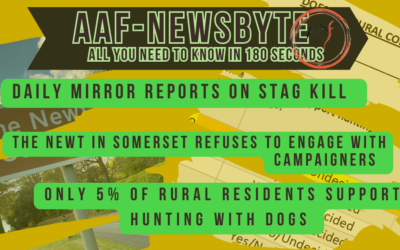 AAF Newsbyte – 18