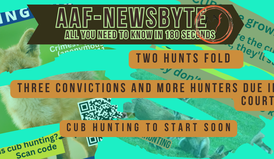 AAF Newsbyte 21