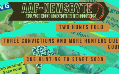 AAF Newsbyte 21