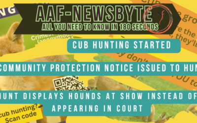 AAF Newsbyte 22
