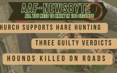 AAF Newsbyte 25