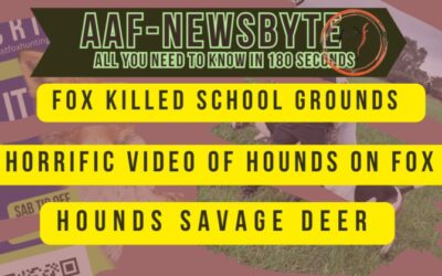 AAF Newsbyte 27