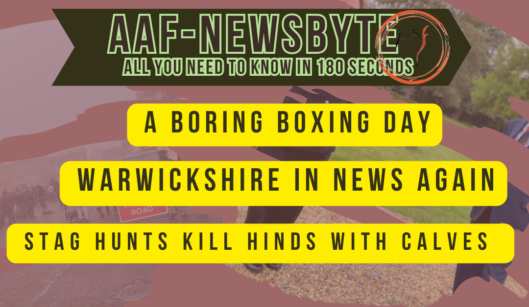 AAF Newsbyte 28