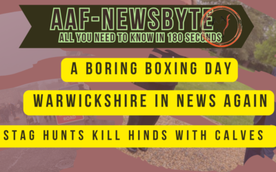 AAF Newsbyte 28