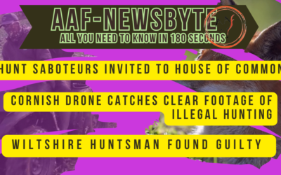 AAF Newsbyte 29