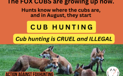 Quick Order Cub Hunting Leaflets and Stickers