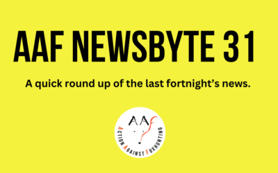 AAF Newsbyte 31