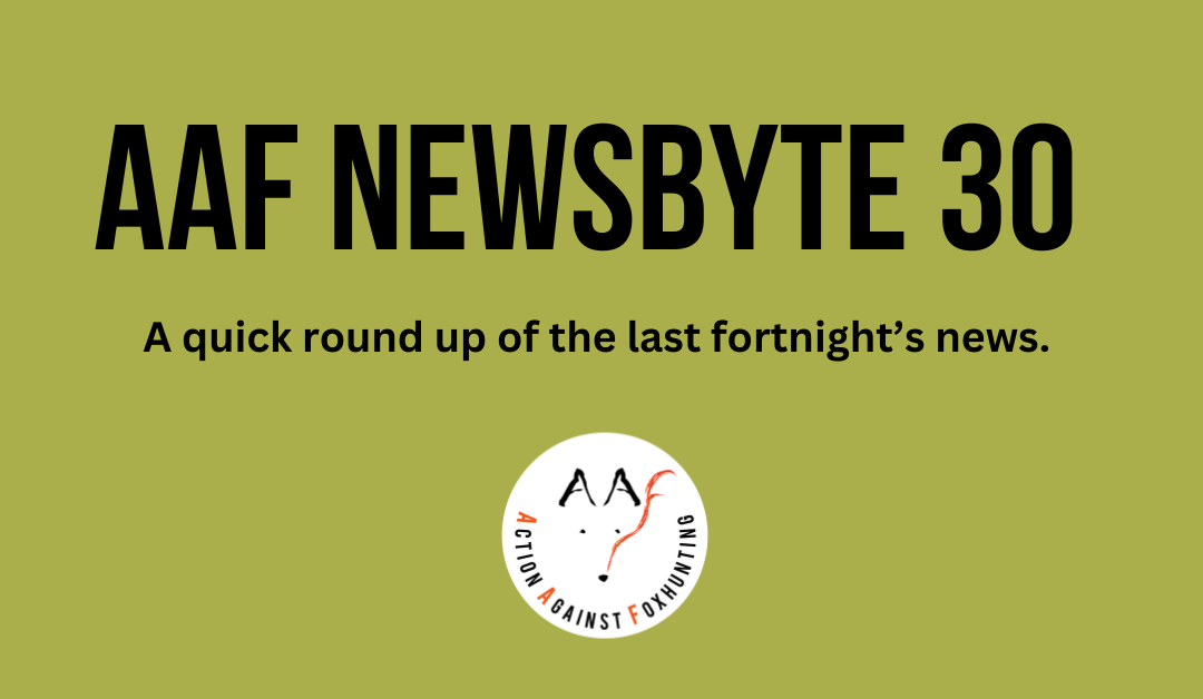 AAF NewsByte 30