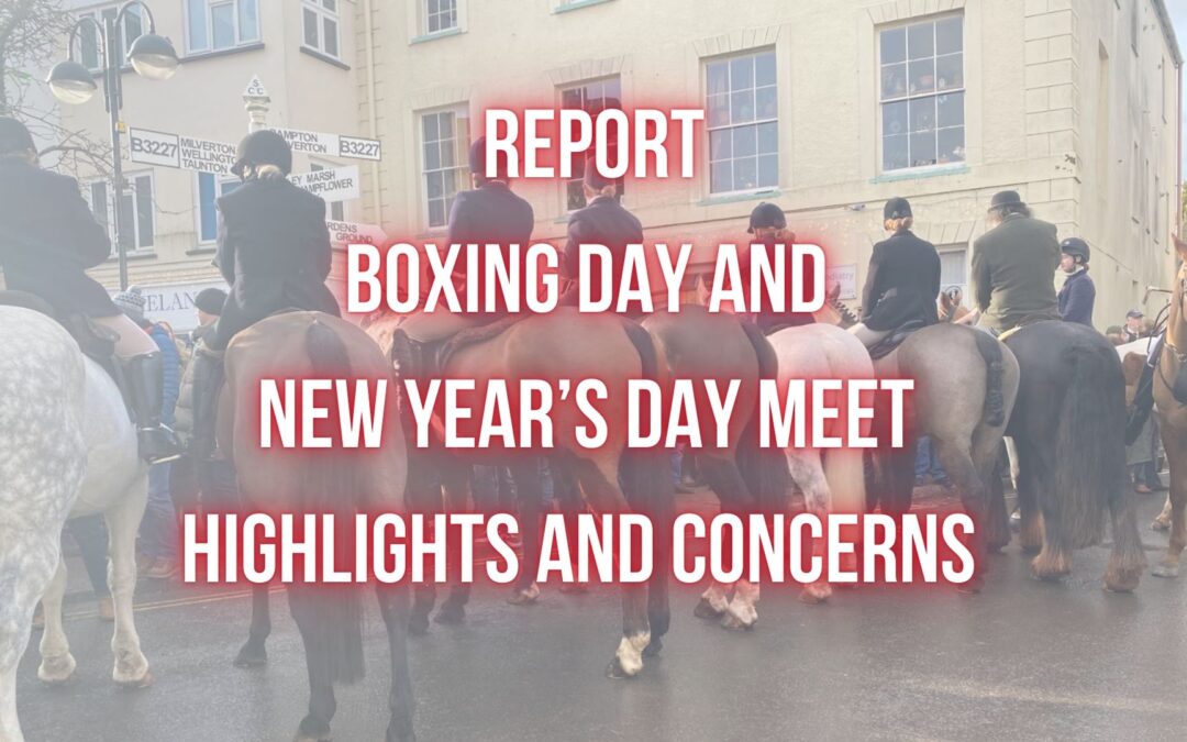 Report Boxing Day 2025 and New Year’s Day 2026 Highlights, Concerns & Notable Moments